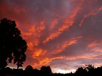 IMG-20190118-WA0004