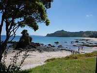 IMG-20190118-WA0006