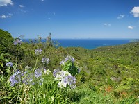 IMG-20190118-WA0007