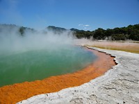 Champagne pool