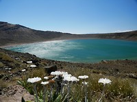 IMG-20190124-WA0011