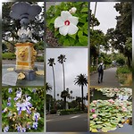 inCollage_20190124_204059200