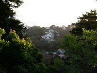 IMG-20190125-WA0009
