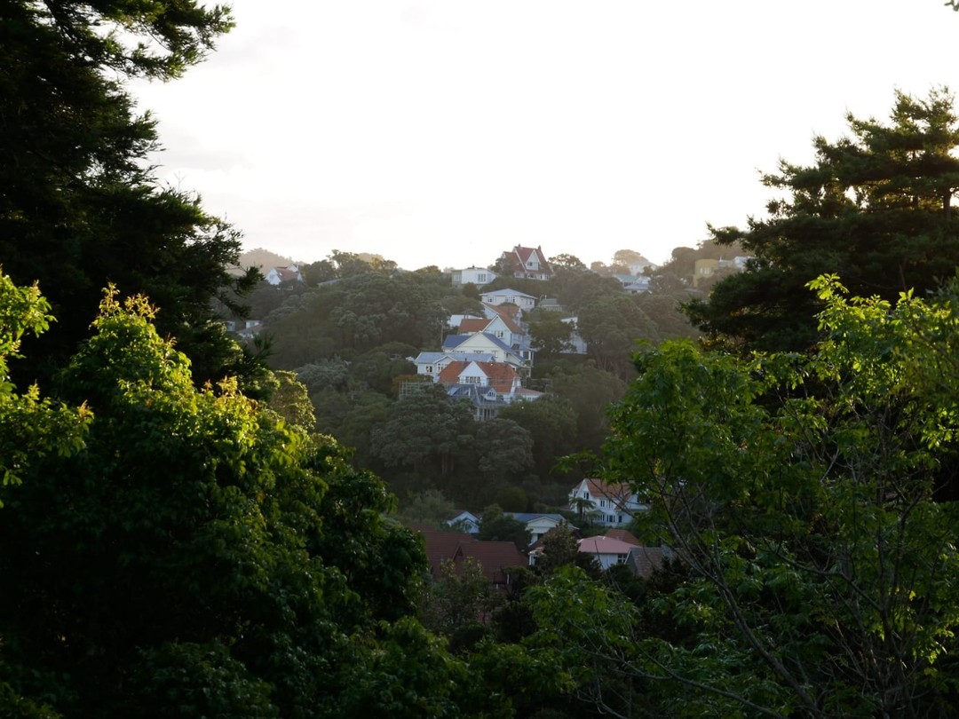 IMG-20190125-WA0009
