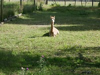 IMG-20190125-WA0010