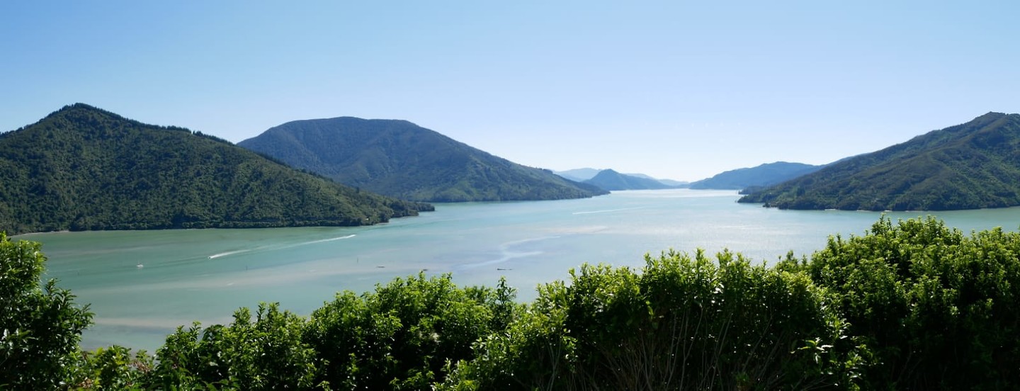 IMG-20190129-WA0043