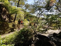 IMG-20190129-WA0036