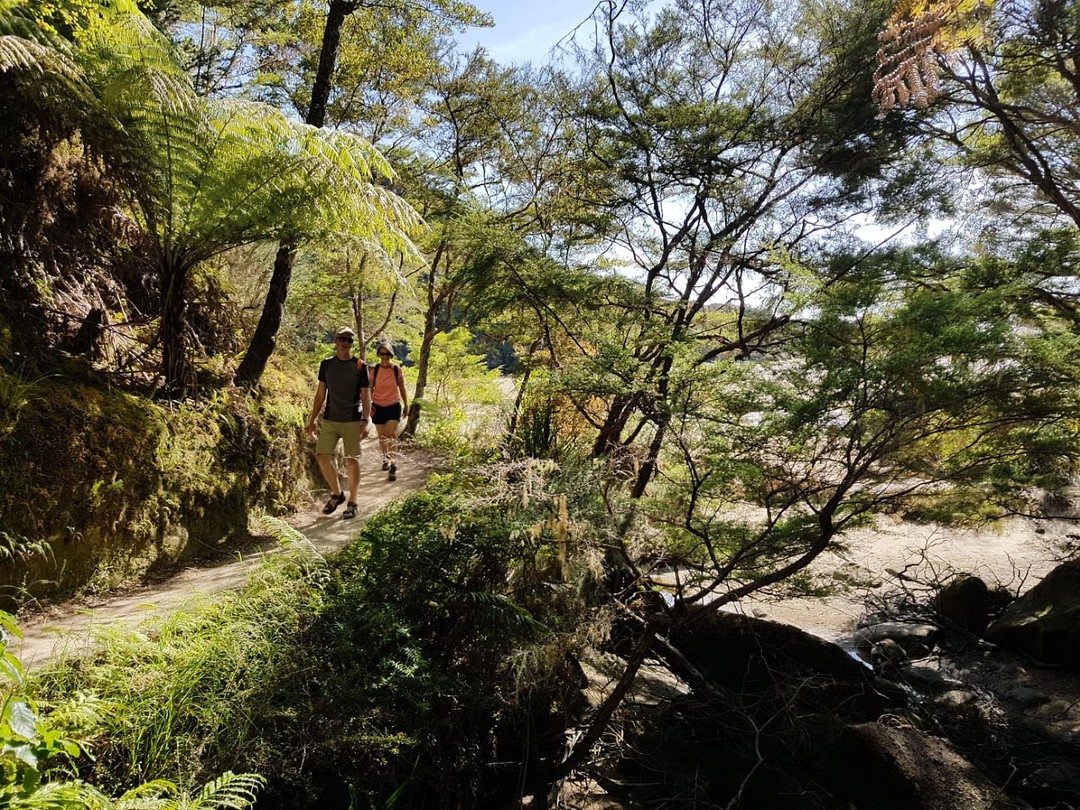 IMG-20190129-WA0036