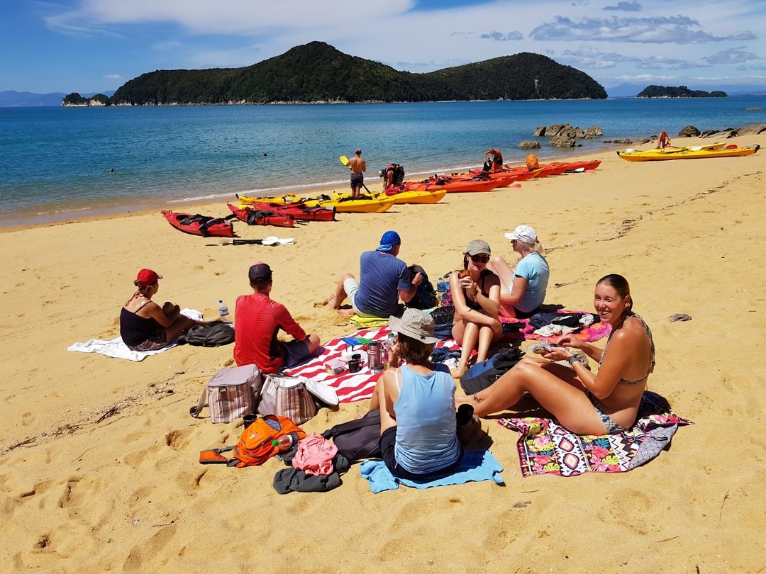 IMG-20190129-WA0018