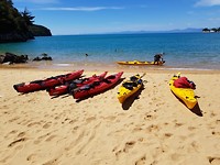 IMG-20190129-WA0019