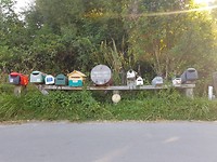 Brievenbussen