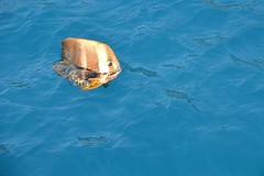 Snorkelen