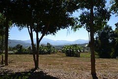 Uitzicht vanuit onze bungalow