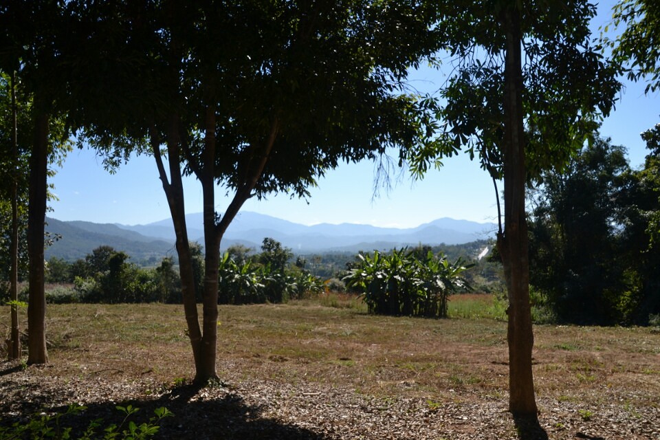 Uitzicht vanuit onze bungalow