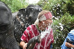Een verfrissende douche
