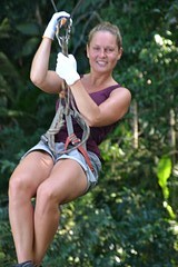 Ziplinen  (Gibbon Experience)