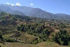 Sapa