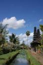 DSC01007-550