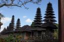 DSC01008-550