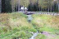 IMG_1103