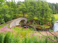 Brug over de rivier