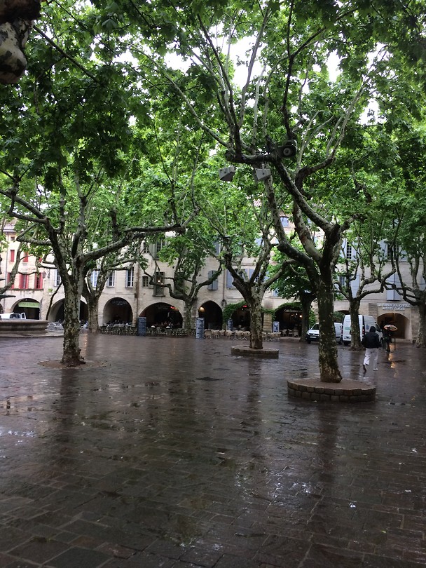 Plein met platanen, in de regen.