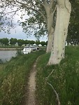 Fietspad?