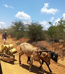 It's far.... Fetch water.