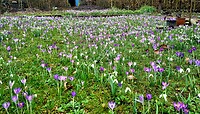 Spring is in the air !