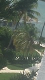 VID-20170803-WA0012