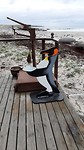 Pinguïns,  they're everywhere!