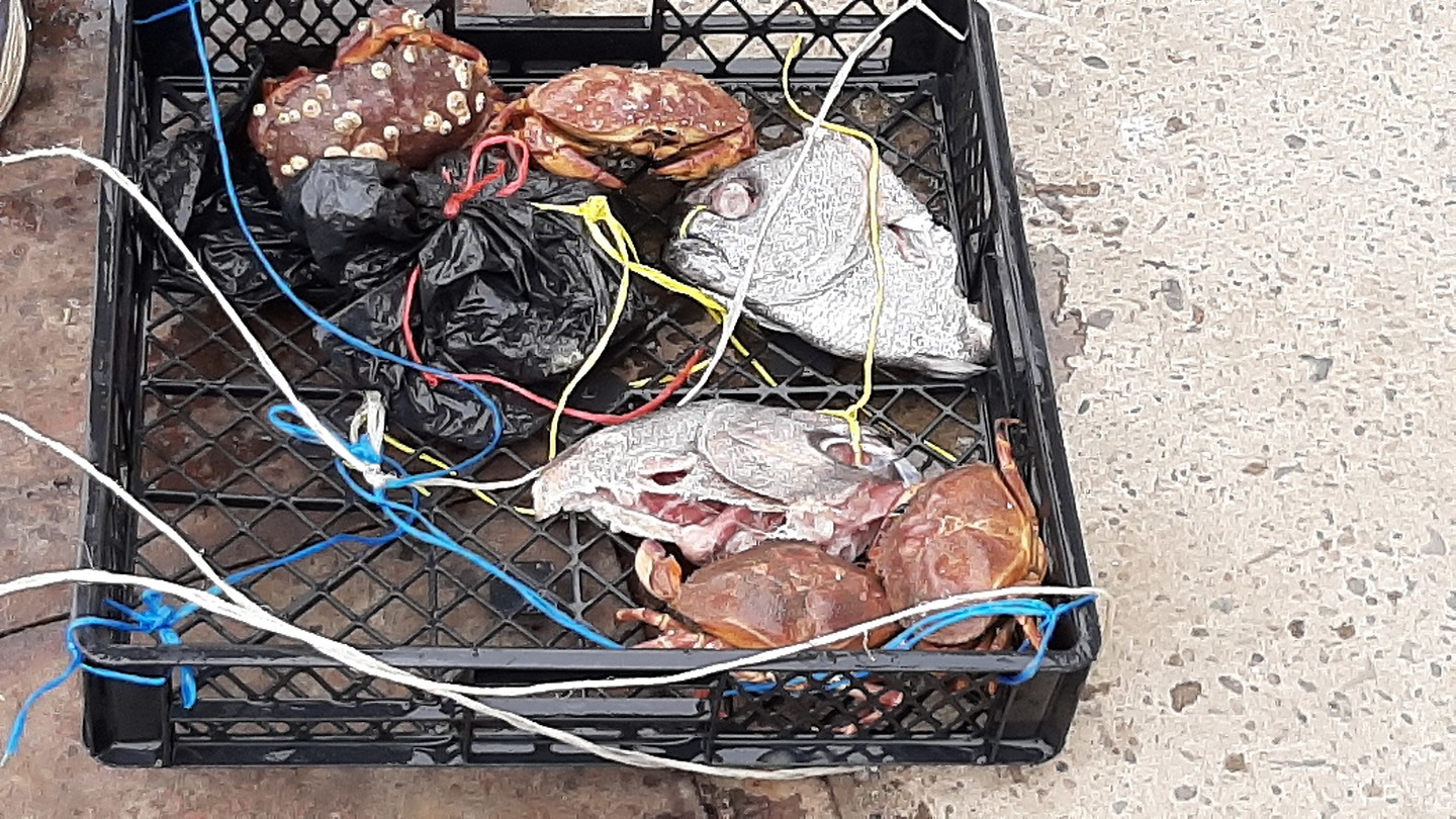 Krab vangen met vissekoppen Foto Herman Heinecke’s reisblog