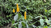 IMG_1812