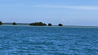 IMG_2303
