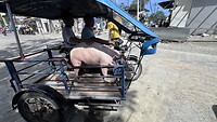 IMG_2588