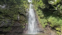 IMG_0059