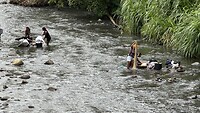 IMG_0199