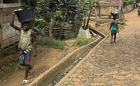 IMG_0310