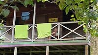 IMG_0552