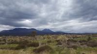 Tongariro nationale park