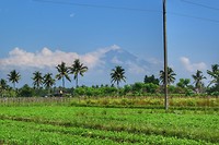 IMG-20190217-WA0017-01
