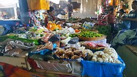 IMG-20190222-WA0028-01