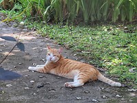 20191120162402_IMG_9538-01