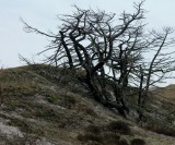 IMG_0838