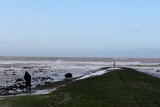 IMG_0301