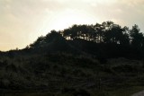 IMG_1060