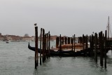 IMG_1576