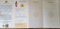 Credencial