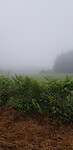 Fietsen in een wolk