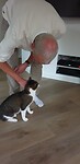 De kat ook weer blij